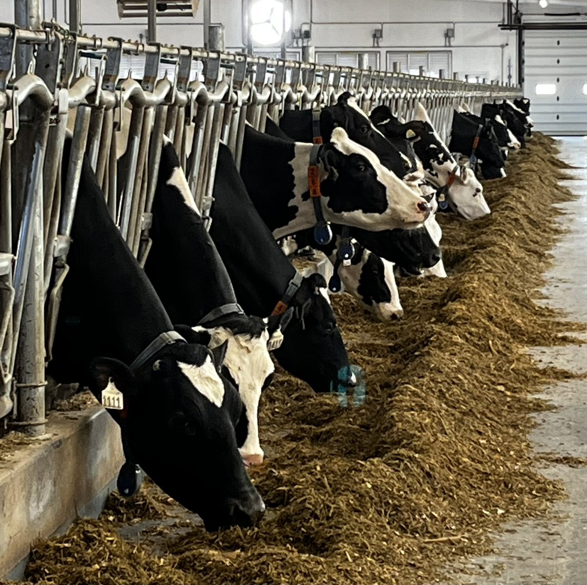 Breakfast with these gals!  #teamrbc #agriculture