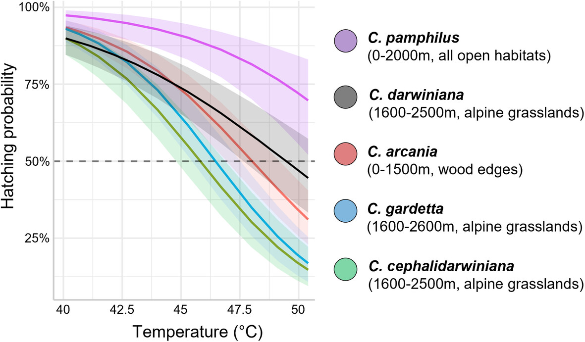 New work by P. Doniol-Valcroze @DespresLaurence & @JoronMathieu found differences in egg heat tolerance between related lowland and alpine butterfly species: doi.org/10.1111/een.13… #OpenAccess #Satyrinae Photo credit: L. Ton @cefemontpellier @EcologieAlpine @CNRS @umontpellier