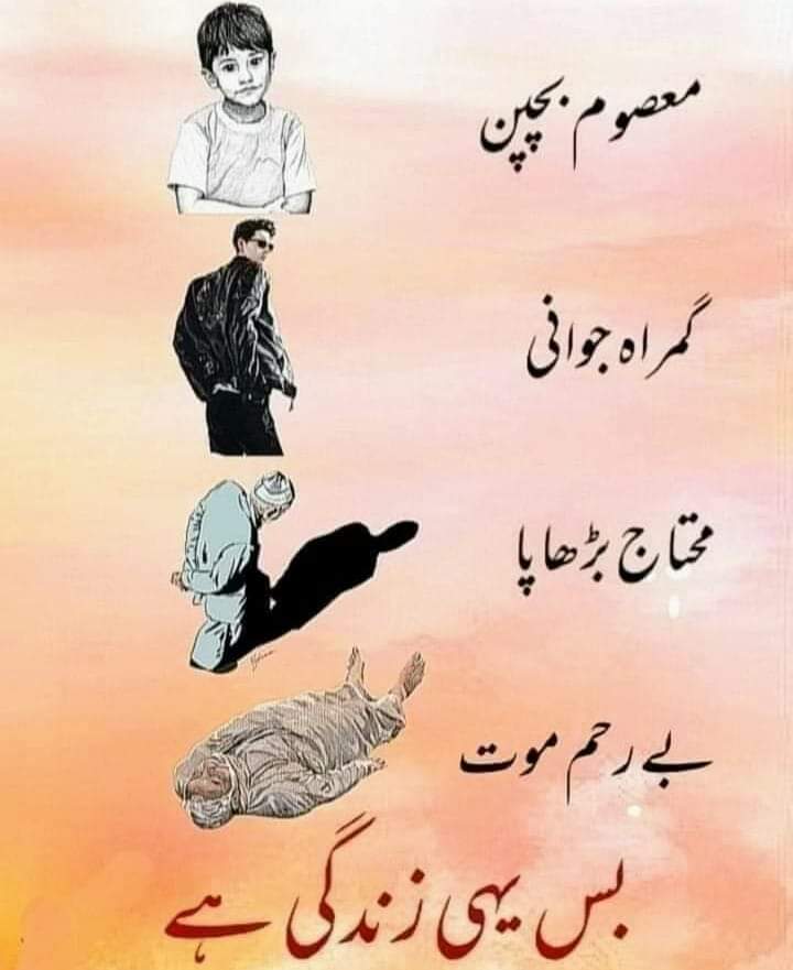 پروموشن لسٹ نمبر 86 📢

 اگلی لسٹ میں ایڈ ہونے کے لیے اپنا ہینڈل لکھیں اور مجھے فولو کریں
@Naveedahsan_591
<a href="/Chabdullah_70/">Abdullah Chaudhary</a>
<a href="/SmilyIrfan786/">Muhammad irfan</a>
<a href="/ctkum42289166/">Isabella</a>
<a href="/Usmanchaudhry14/">Muhammad Usman</a>
<a href="/SarakhanKh9698/">Sarakhan Khan</a>
<a href="/bashirqasim85/">Qasim Bashir</a>
@esharaza905
<a href="/smily_irfan/">Muhammad irfan</a>
<a href="/farwidogar2577/">Farwi Dogar</a>
<a href="/RehanX_8/">Rehan.Com</a>
<a href="/Muhamma59365806/">Qafas Roomi</a>