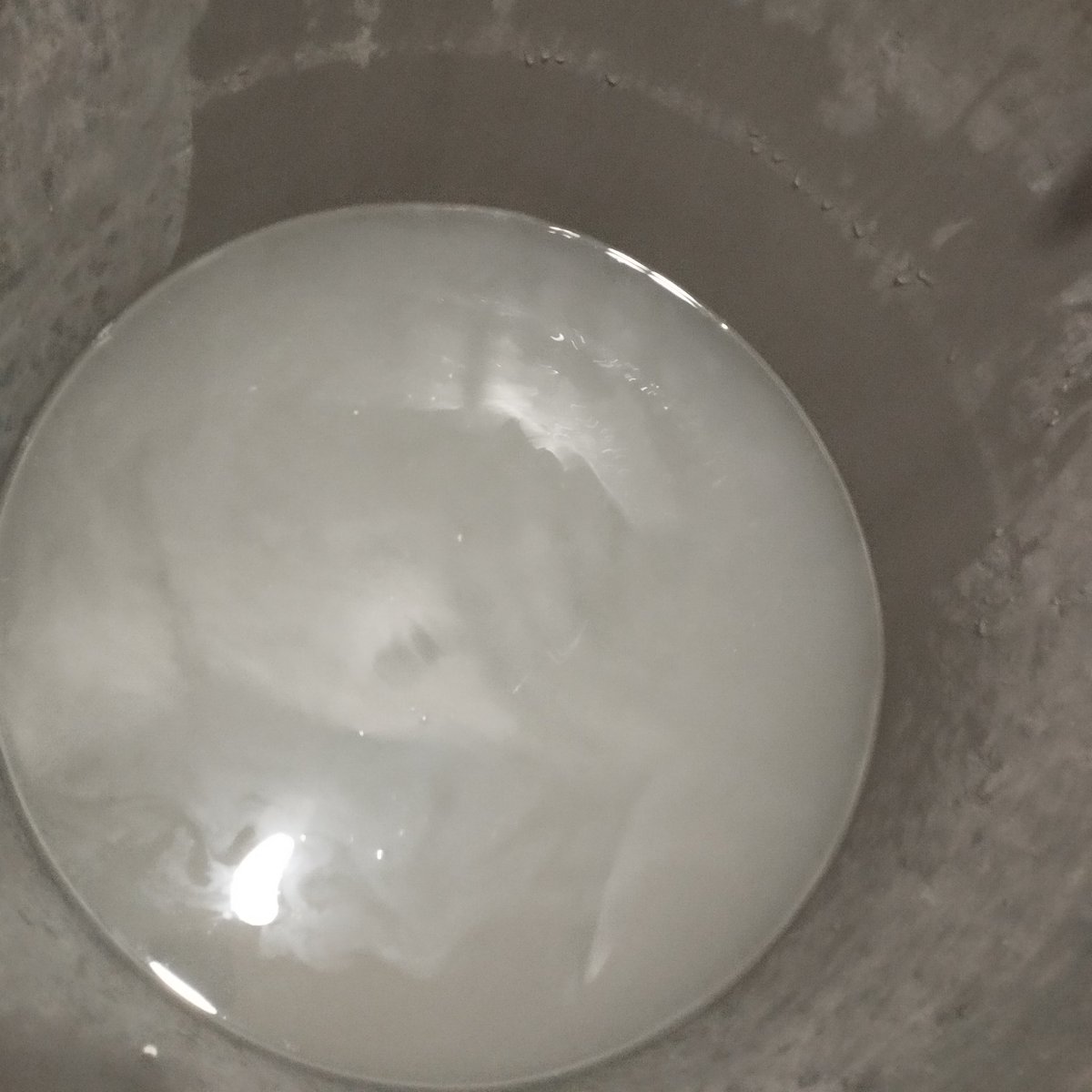 aiza_halima's tweet photo. @lahore_wasa have been facing a severe issue with the quality of water supplied through the pipelines in my home. Despite multiple attempts to reach out for assistance, we have not received any response or resolution to this problem for the past five days. https://t.co/vG5srGPUyN