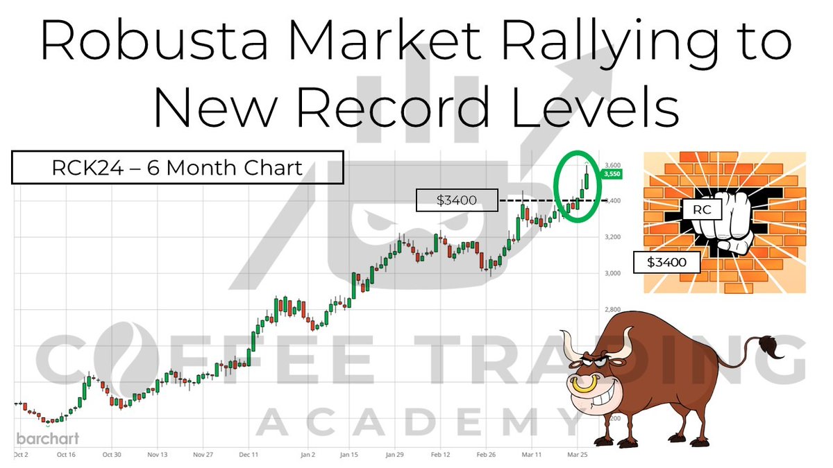 Ryan Delany tweet media