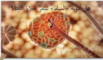 alsukri1's tweet photo. هل أدوية "السلفا" تــُرهق وتــُدمر خلايا البنكرياس ؟ Sulfonamides and pancreas
#مدونة_مرض_السكري
#مدونة_السكري

اضغط الرابط
https://t.co/b4t8jefi1F

#السعودية #اليمن #غزة_الآن #غزة_تنتصر #الكويت #مصر #الجزائر #الامارات https://t.co/irIicsEmTJ