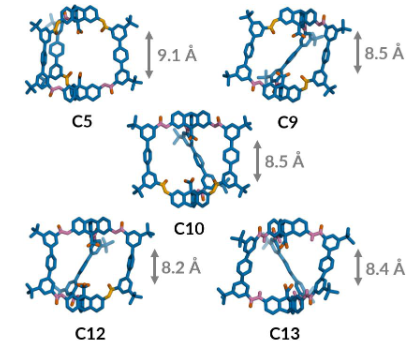 In the lab, Caitlin and @tjfellowes (working with @AnnaGSlater and @aicooper), managed to identify all five different structures, giving access to a wide range of acid-acid distances across the binding cavity.