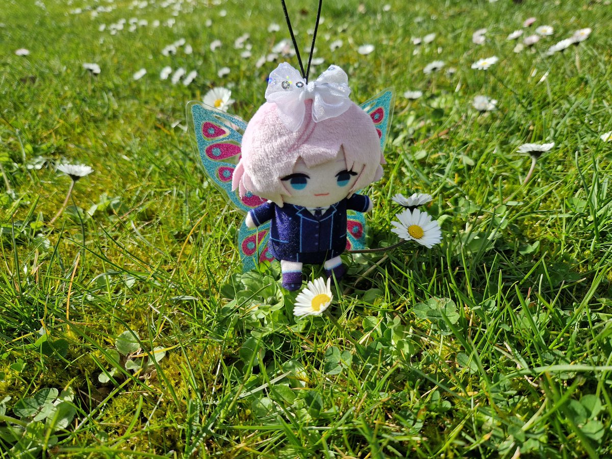 Kalea153's tweet photo. 🧚‍♀️
#ぱぺぬい春のお出かけ
#未来人みて https://t.co/a0pJFRh4CU