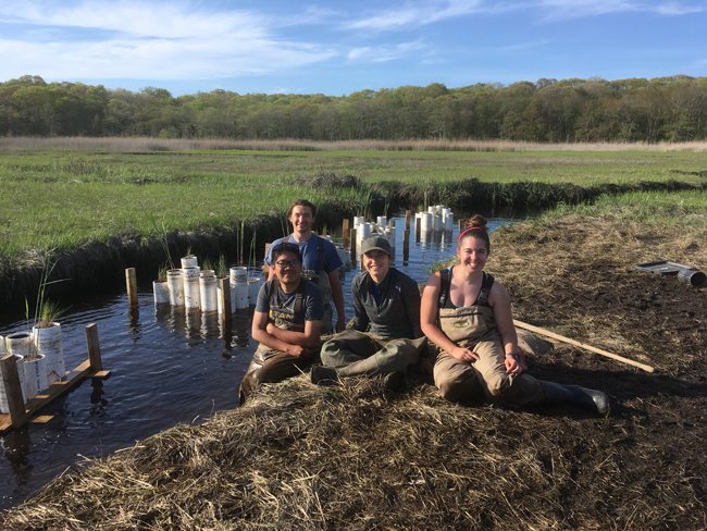 nyseagrant's tweet photo. Preliminary proposals for 2025-27 @LISStudy research projects are due online by 5 pm EDT on Monday, April 8, 2024: https://t.co/ifteUSzBkC #LongIslandSound #LISound @LISStudy @CTSeaGrant @CornellCALS @ccecornell @EPAregion2 @NOAAResearch @SeaGrant https://t.co/gdfGTnPGDj