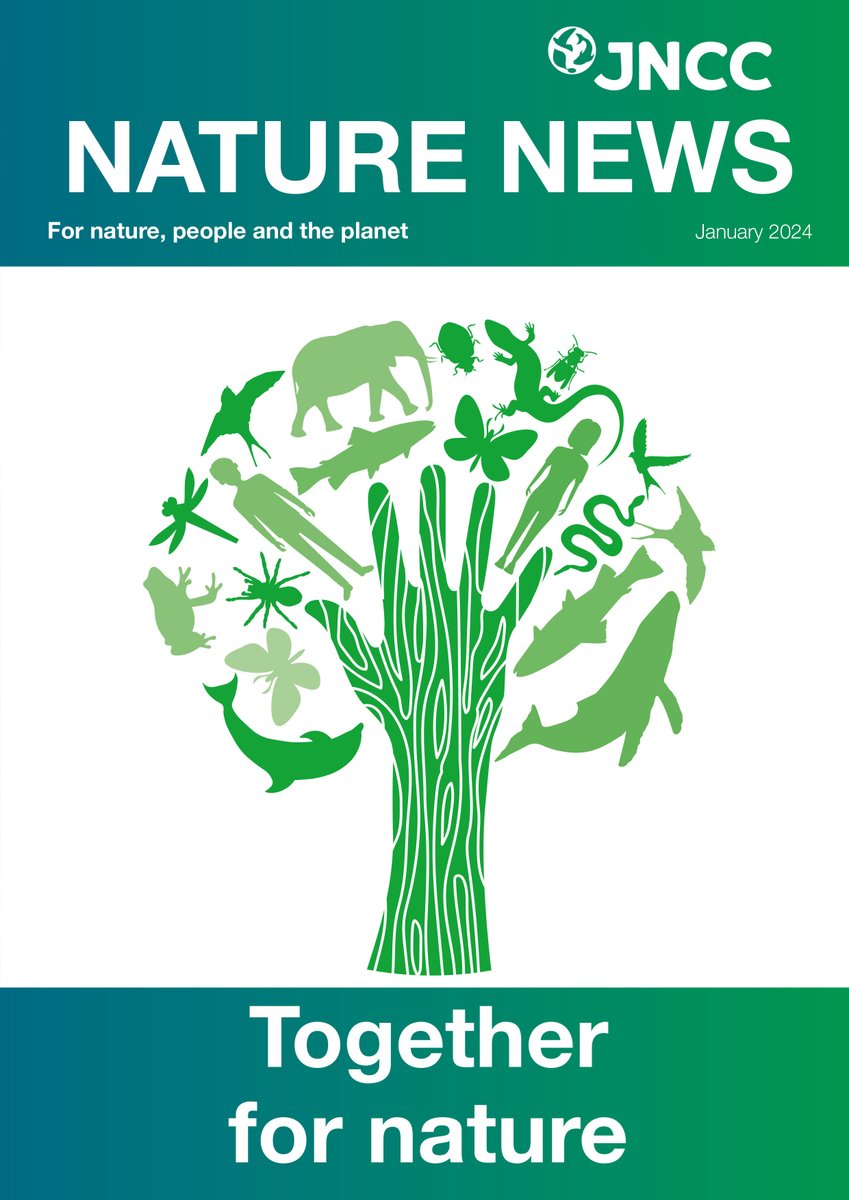 JNCC_UK's tweet image. 👀 Latest edition of JNCC's Nature News is out now  👉bit.ly/JNCC-NatureNew…

Featuring:
🧮 #SeabirdsCount - the most comprehensive census to date of Britain &amp;amp; Ireland’s populations of breeding seabirds

📊 Tracking trends in #nature

🌎 International news round-up, &amp;amp; much more