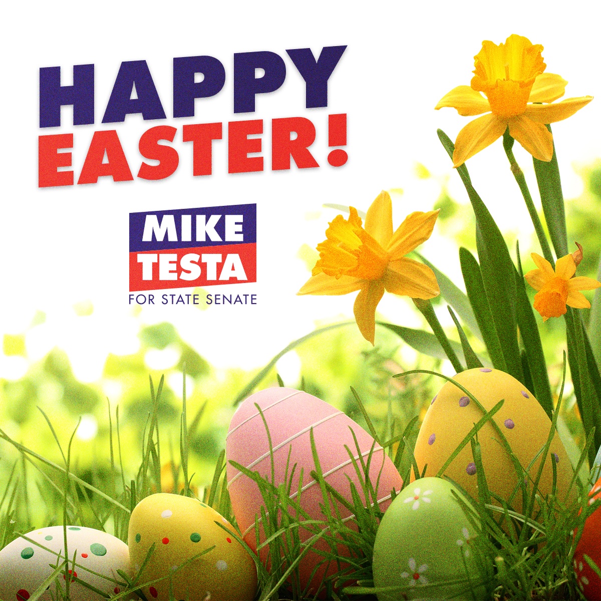 TestaForNJ's tweet image. Wishing you a very happy &amp;amp; blessed Easter, #TeamTesta!🐰