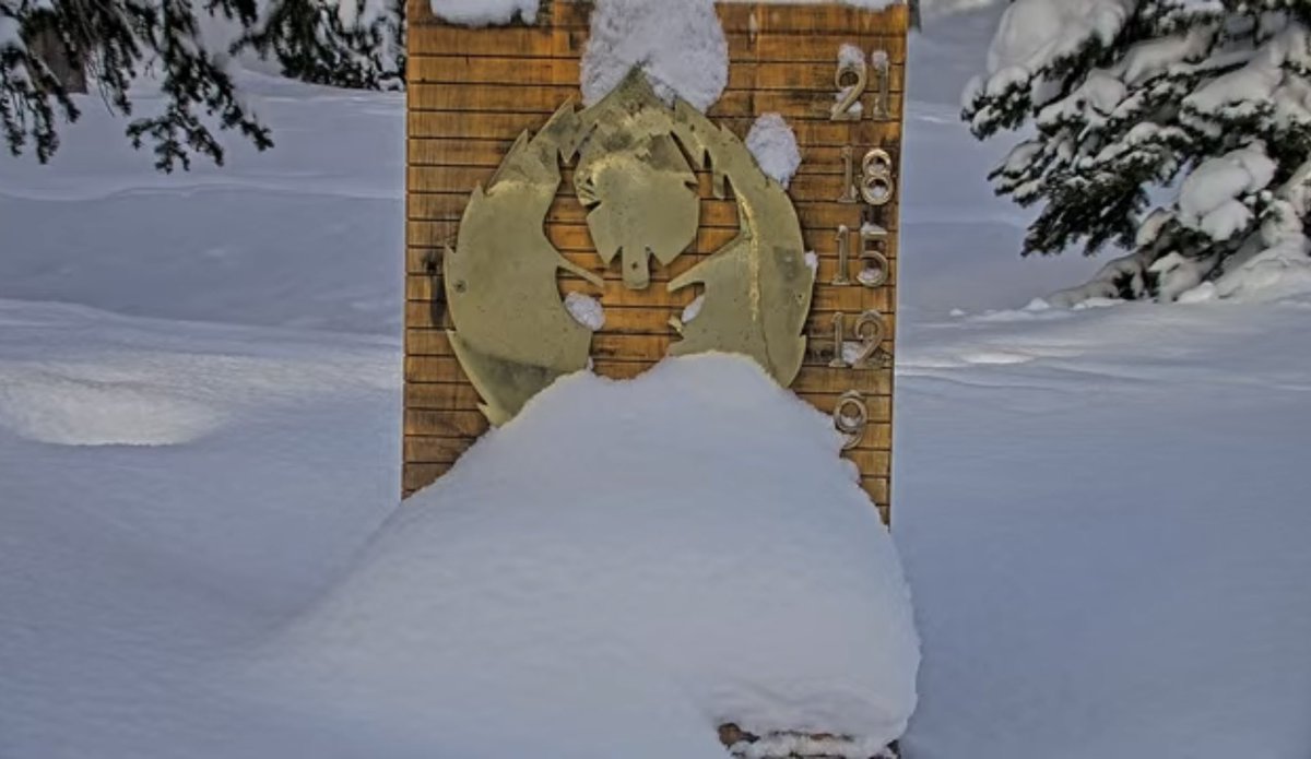 It’s a powder day at Deer Valley! We’ve received 7” of new snow in the last 24 hours. ❄️❄️❄️

Get the full mountain report here: deervalley.com/explore-the-mo…