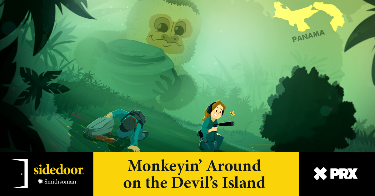 It started as a rumor in the cafeteria of @stri_panama: monkeys on Jicaron island were doing something no one had seen them do before. But when researchers went searching for these elusive capuchin monkeys, they discovered more questions than answers. 🎧: spoti.fi/3QdM31Z