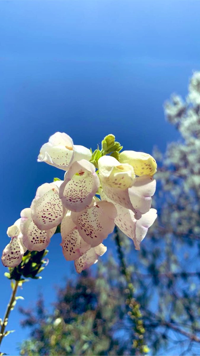 Nadie me contó
que desde la tristeza 
también se crece

(hacia cielos más azules)
♥️✨🌻
<a href="/raquelbeck_/">Raquel Beck</a>