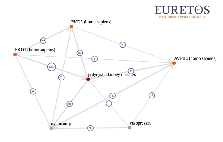 Euretos's tweet photo. Unraveling PKD with our platform: Dive into metabolic PPI networks &amp; discover how vasopressin's role impacts PKD progression. Explore data-rich insights &amp; evidence-based relations for biomarker discovery &amp; therapeutic solutions. Free access for academics!  #BiomarkerDiscovery https://t.co/UIb7iZz6Mu