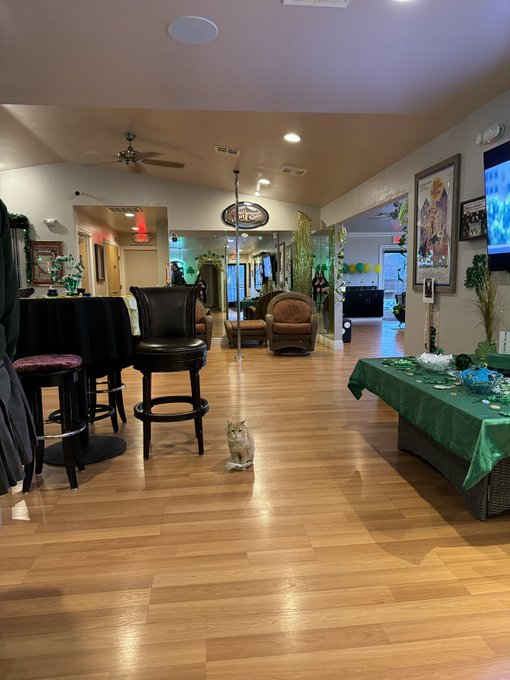 On set Sunday night at the Chicken Ranch doing a cameo in Ginger Lynn&rsquo;s new horror movie!!! #ilovehorrormovies<a href="/tag/lasvegas"class="tags"><span>#lasvegas</span></a><a href="/tag/cameo"class="tags"><span>#cameo</span></a><a href="/tag/ilovehorrormovies"class="tags"><span>#ilovehorrormovies</span></a>