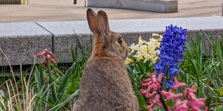 The University of Leeds is closed for the Easter weekend from Thursday 28th March to Tuesday 2nd April. We would like to wish all of our colleagues and friends a restful break and look forward to working with you soon! 💐🌷🐰🐣🌤️