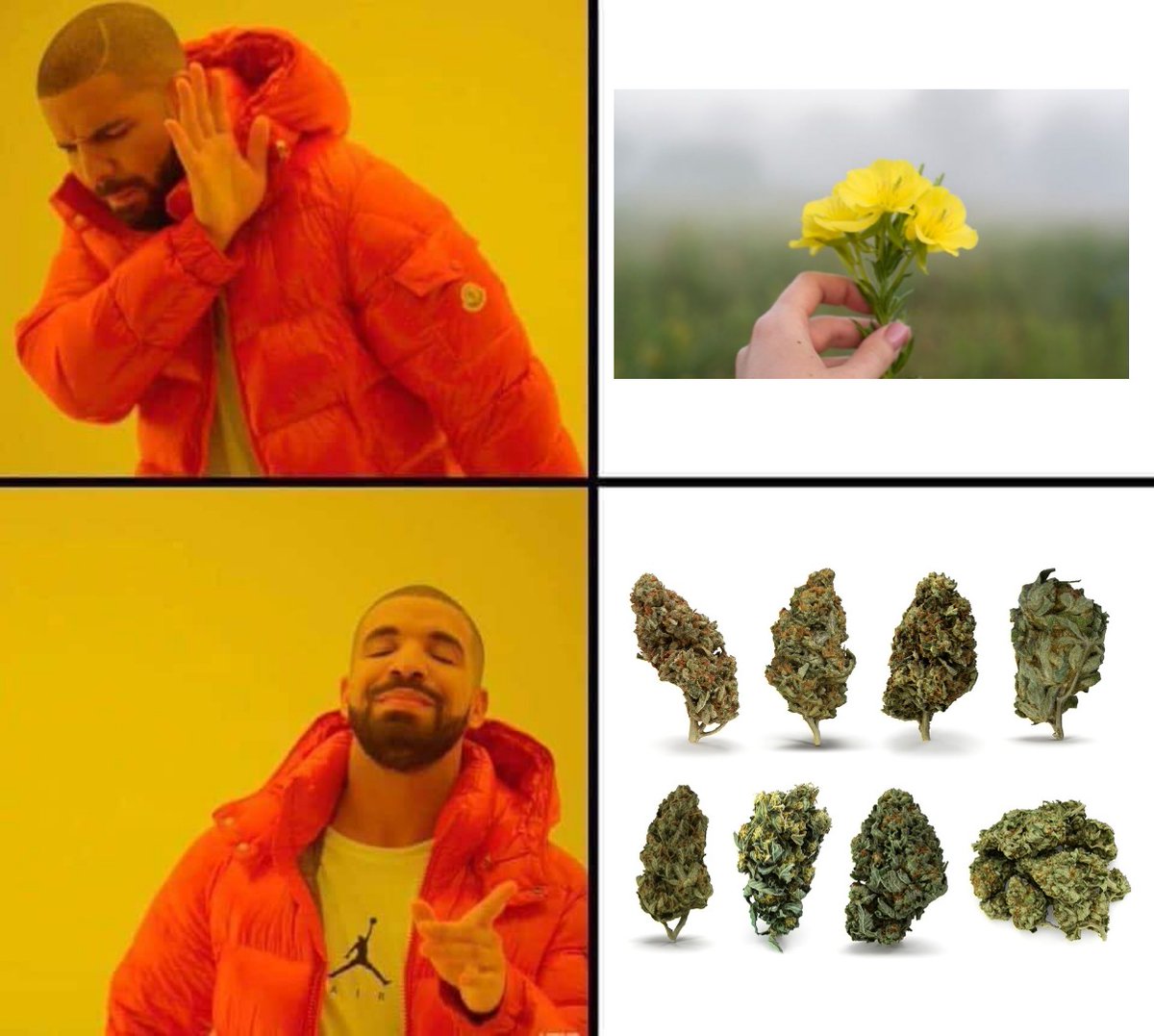 Te traje flores