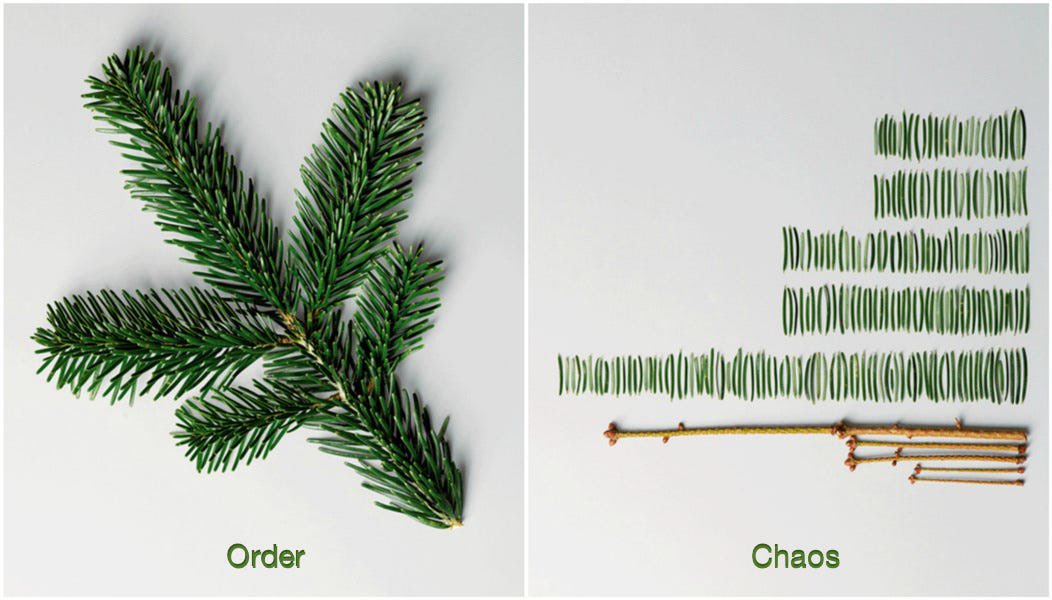 Dr Kareem Carr tweet media