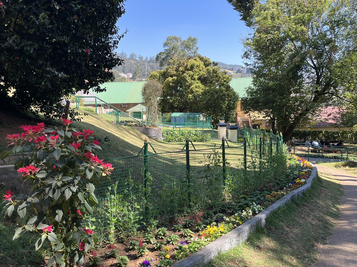 ajreidwrites's tweet photo. The blue skies over Ooty in the Nilgiri Hills of southern India - and the lovely flowers and greenery, too. Four days until the 125 Hebron reunion starts https://t.co/bJH2OE5nRJ