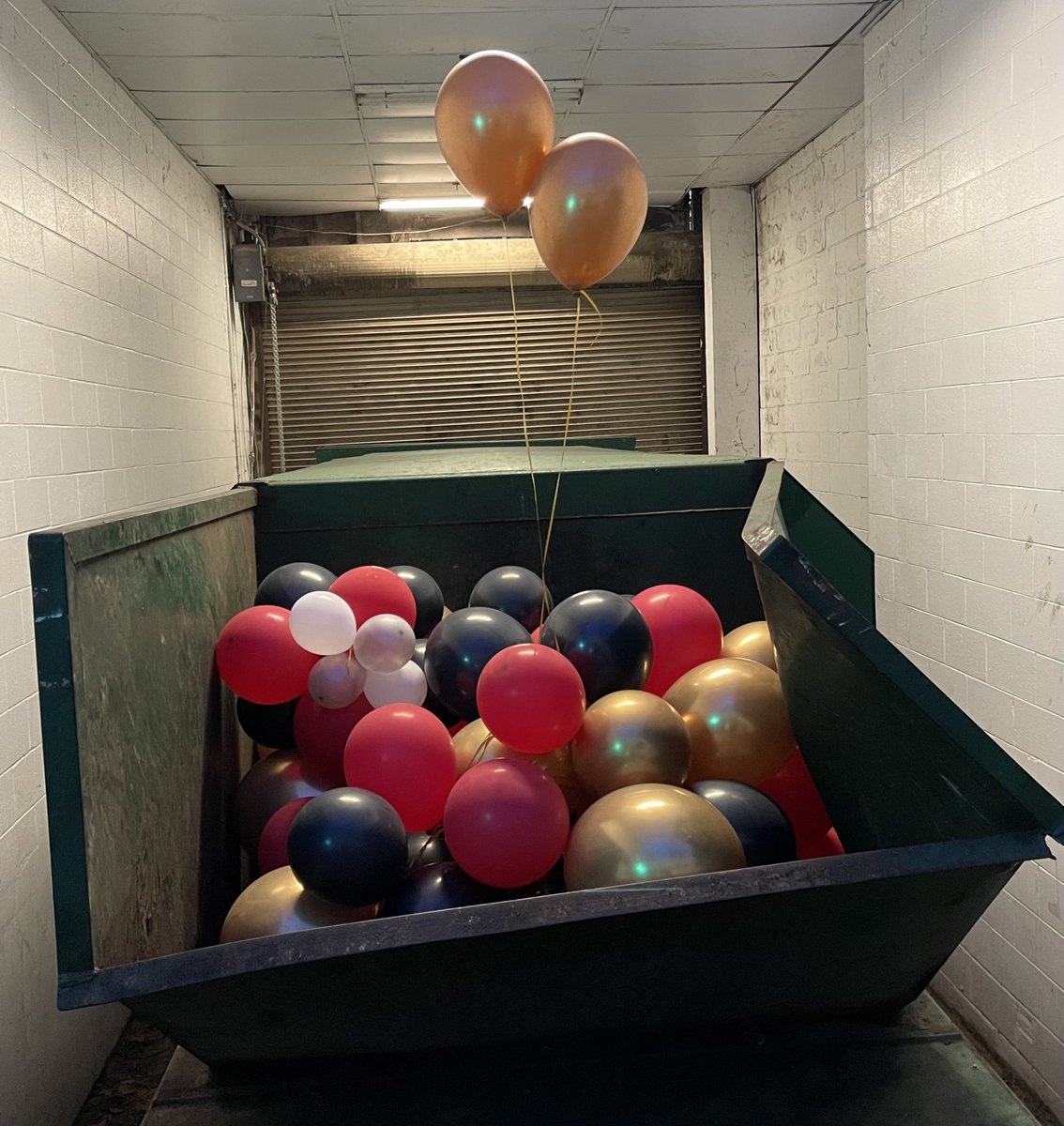 harveyhead tweet media