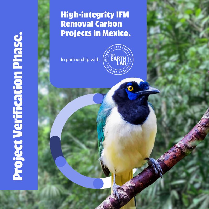 Invert Inc. tweet media