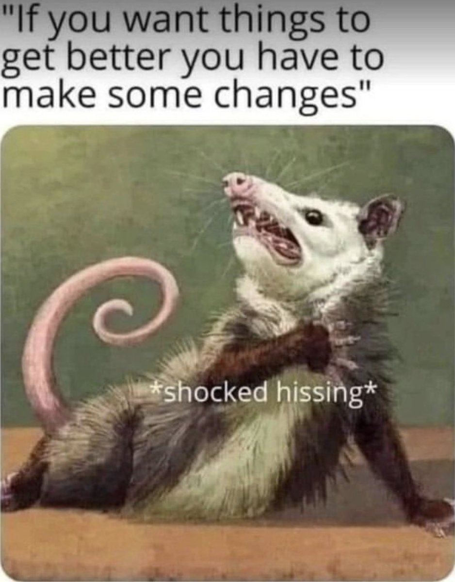 THE AUDACITY