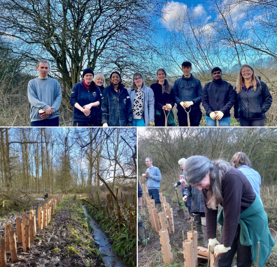 Brand new hedgerow planted with @CPRECheshire, @uochester, @FriendsCoCCP at Guinevere's Wood. Massive thanks to everyone involved. This will be great for #NatureRecovery. @cwvolaction @Go_CheshireWest @chesterzoo @TCVtweets