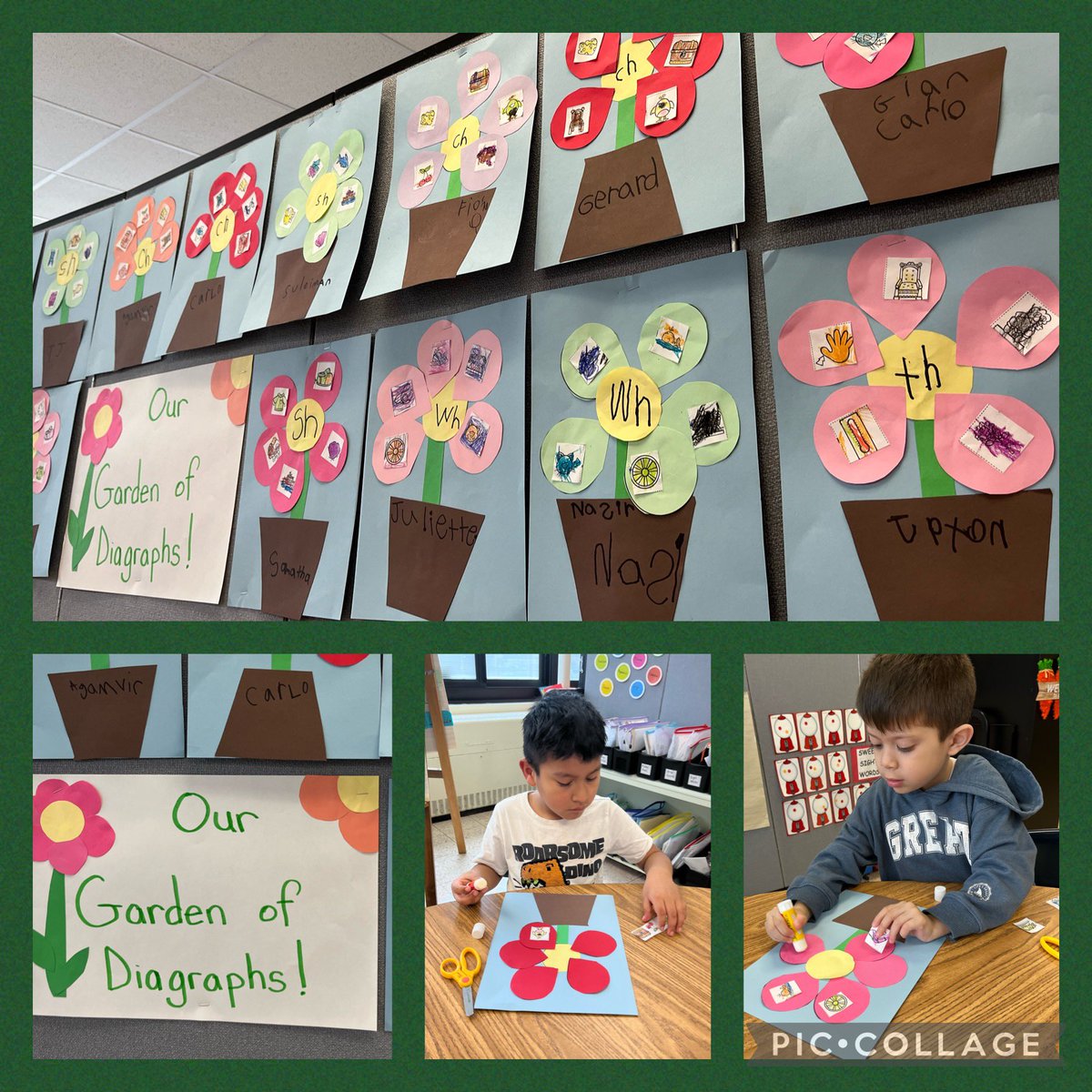 Mrs.Musillo (@mrsmusillo) on Twitter photo Spring has arrived in the Project Read room. We planted a colorful Garden of Diagraph flowers! 🌸 🌺🌼 <a href="/WWP_Dalers/">WWP_Dalers</a> Spring has arrived in the Project Read room. We planted a colorful Garden of Diagraph flowers! 🌸 🌺🌼 <a href="/WWP_Dalers/">WWP_Dalers</a>
