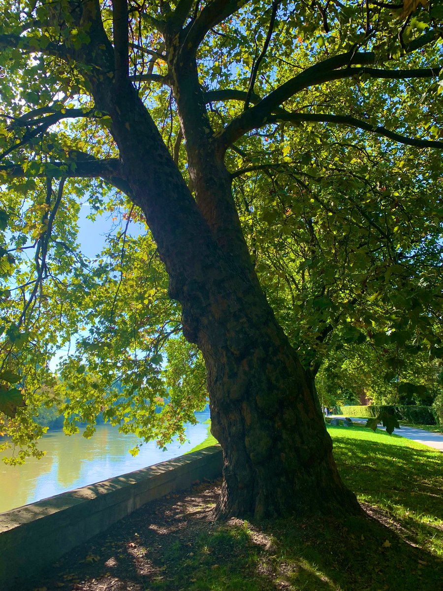 GEONARDO tweet media