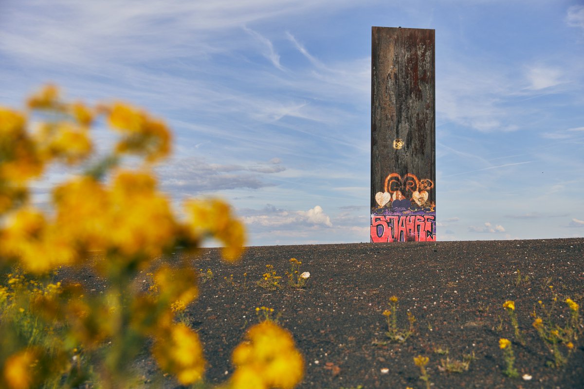 Richard Serra ist tot, seine Kunstwerke bleiben. Wie die Bramme für das #Ruhrgebiet auf der Schurenbachhalde in @Essen_Ruhr. Mit Serra ist ein Künstler gegangen, der Spuren in der Region hinterlassen und die Haldenlandschaft mit geprägt hat, sagt #RVR-Beigeordnete Nina Frense.