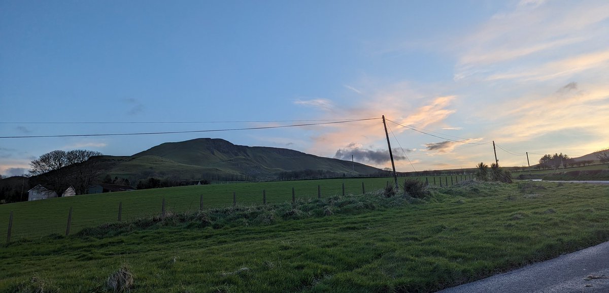 Justin Maxwell tweet media