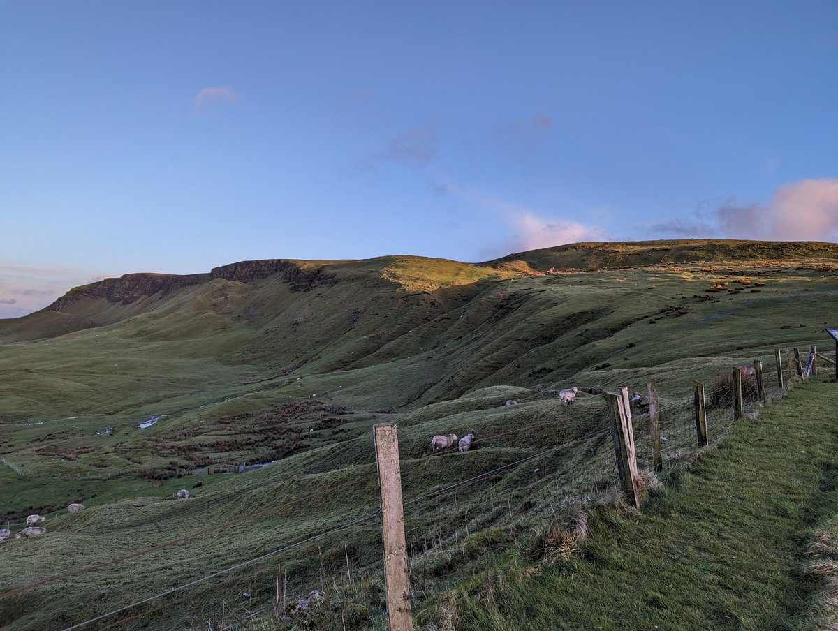 Justin Maxwell tweet media