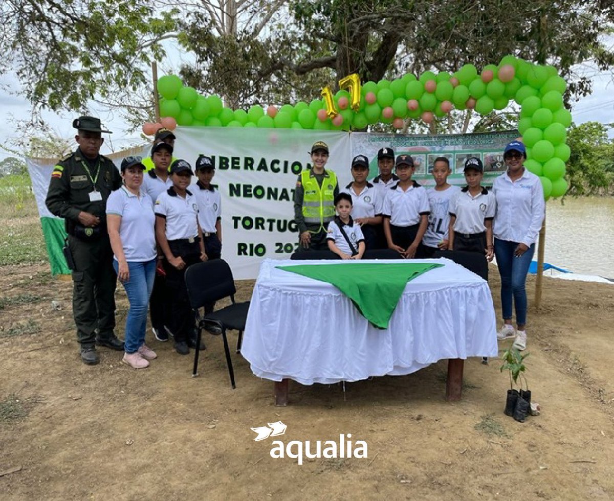 AqualiaColombia's tweet photo. #AqualiaCol | #NoComasTortugas 📷
☝️¡Estamos comprometidos con el cuidado y preservación de los ecosistemas acuáticos y terrestres!

Cada año nos sumamos con alegría a la liberación de tortugas de río en #SantaCruzdeLorica.
 
#SomosNativosSostenibles #Tortugas https://t.co/3pqqWeOjYQ