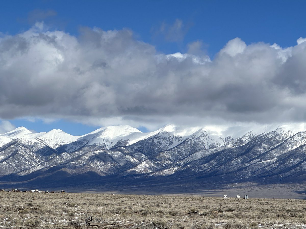 Jenny Brundin tweet media