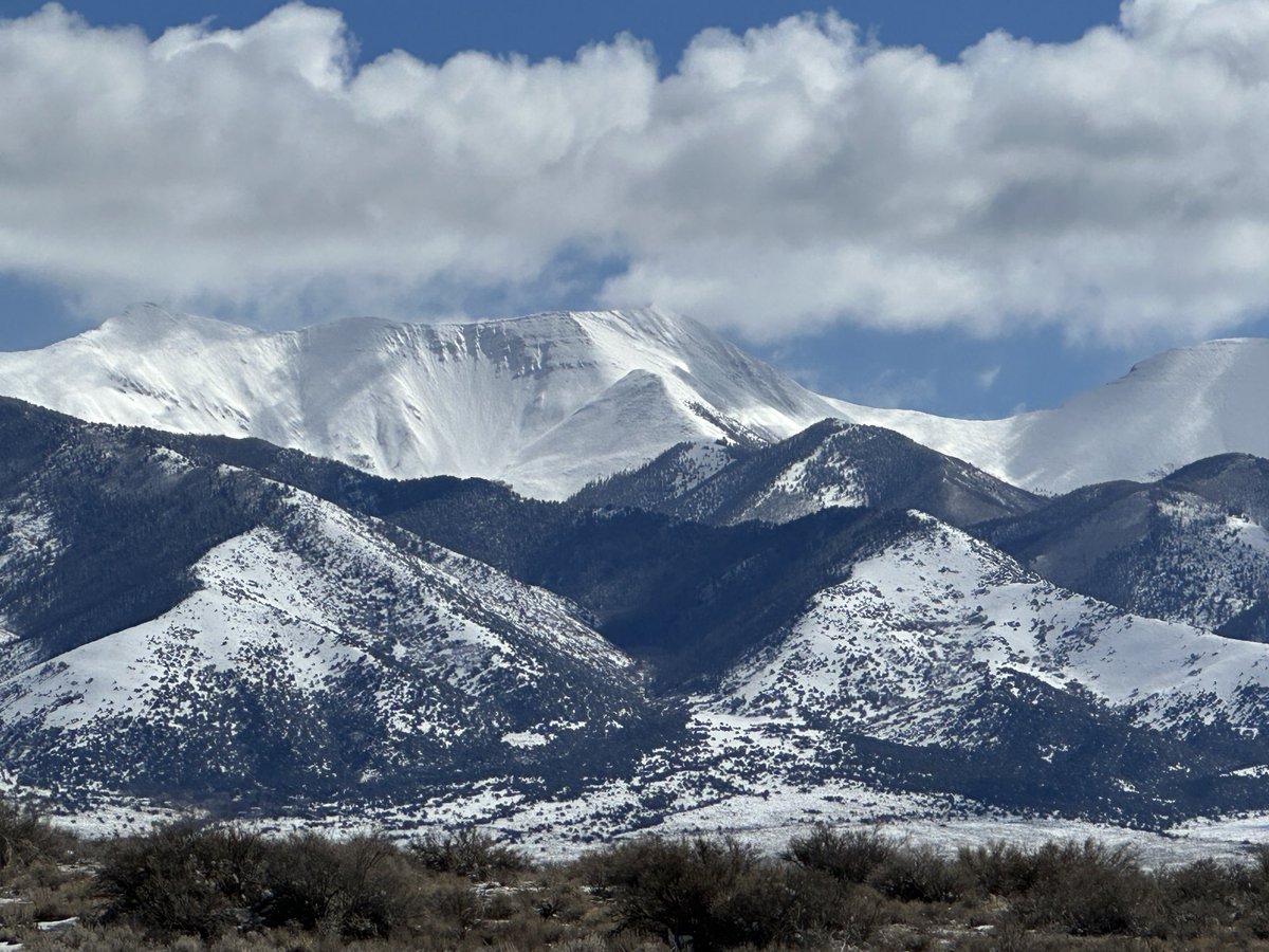 Jenny Brundin tweet media