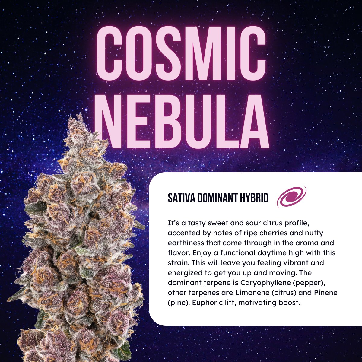 (3/5) Cosmic Nebula 🌌 #SativaDominantHybrid

#GalaxyCannabisLaunch #GalaxyAtmosphere #CannabisIndustry #SocialEquity #VeteranOwned #BlackOwned #WomenOwned #CannabisCommunity #CannabisCulture #CannabisIllinois #OutThereFromHere