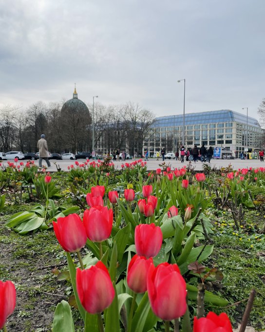 Y la primavera en Berl&iacute;n cada d&iacute;a se hace notar m&aacute;s 🌷 https://t.co/8z9OvSCqZT<a href="/tag/panamacity"class="tags"><span>#panamacity</span></a>