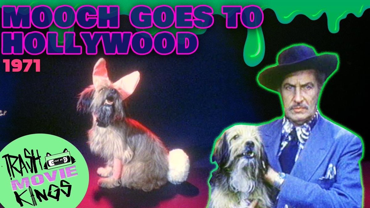 TrashMovieKings 🅱️📼🚮 tweet media