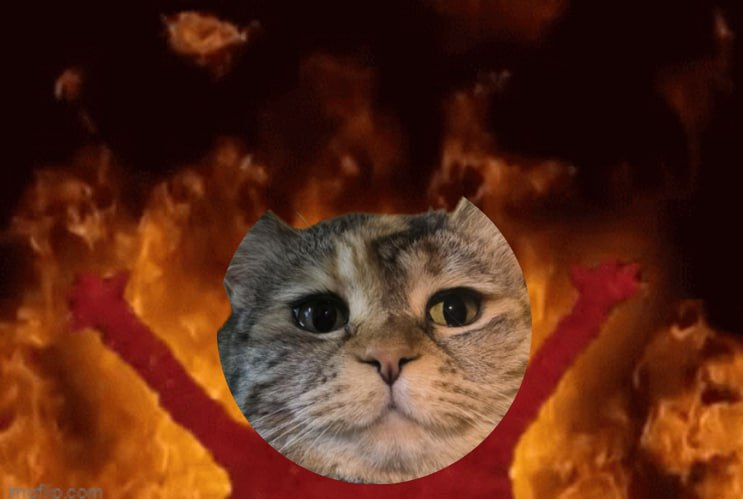 Almost 4% of total supply from buybacks are now burned! 

$DANG $MOCHI $TOSHI $BRETT 

dexscreener.com/base/0x22958cc…