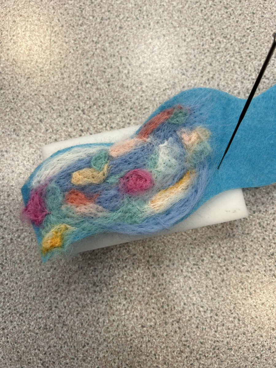 Miss Lang tweet media