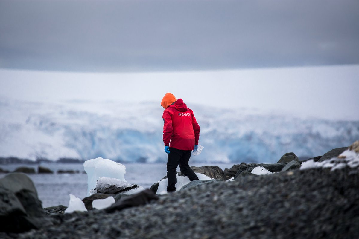 🇨🇱🇦🇶Chile será anfitrión del mayor encuentro mundial de ciencia antártica. Se han recibido más de 1500 propuestas de presentación, lo que la convertiría en la reunión científica antártica más masiva de la historia 😱 inach.cl/chile-sera-anf…  <a href="/SCAR_Tweets/">Scientific Committee on Antarctic Research (SCAR)</a> <a href="/scarchile2024/">SCAR CHILE 2024</a> <a href="/COMNAP1/">Council of Managers of National Antarctic Programs</a>