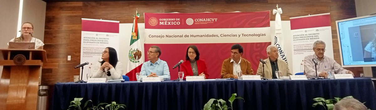 victor_suarez's tweet photo. Hoy participo de la conferencia de prensa: Resultados científicos: Es posible producir alimentos sin agrotóxicos, alternativas viables al glifosato. Seguimos trabajando para que la producción de nuestros alimentos esté libre de estos elementos que dañan la salud humana y el medio ambiente. 

María Elena Álvarez-Buylla Roces (@ElenaBuylla), Directora general del Consejo Nacional de Humanidades, Ciencias y Tecnologías (@Conahcyt_Mex).

Jesús Ramírez Cuevas (@JesusRCuevas), Coordinador general de Comunicación Social y vocero del Gobierno de la República (@GobiernoMX).

Raúl Paulín (@Raul_PaulinH), Subsecretario de Inclusión Productiva de la Secretaría de Bienestar (@bienestarmx).

Luis Rafael Hernández Palacios Mirón, Titular de la Procuraduría Agraria (@PAgraria)

Alejandro Espinosa Calderón, Secretario Ejecutivo de la Comisión Intersecretarial de Bioseguridad de los Organismos Genéticamente Modificados (@CIBIOGEM)

Delia Aideé Orozco Hernández, Directora adjunta de Desarrollo Tecnológico, Vinculación e Innovación del Conahcyt

Luis García Barrios, Director regional Sureste del Conahcyt

Ana Laura Wegier Briuolo, Instituto de Biología, Universidad Nacional Autónoma de México

Yanett Ivett Gallegos Díaz, Dirección de Investigación, Desarrollo y Procesos en Altus Biotech

Manuel Ángel Gómez Cruz, Centro de Investigaciones Interdisciplinarias para el Desarrollo Rural Integral (CIIDRI) de la Universidad Autónoma Chapingo (@uach_chapingo)

Irasema del Carmen Vargas Arispuro, Centro de Investigación en Alimentación y Desarrollo (@CiadConahcyt)

También se transmite en línea, a través de las redes institucionales del Conahcyt: en Facebook: ConahcytMX y YouTube: https://t.co/veKp41NLGr