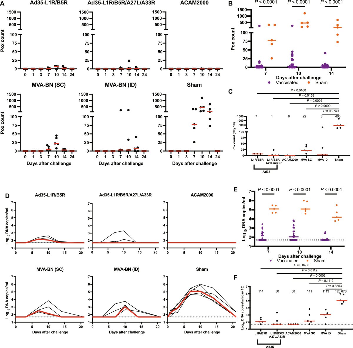Waggoner Lab (@labwaggoner) on Twitter photo MVA and multivalent Ad35-based vaccines induced robust protection against Mpox challenge in nonhuman primates, whereas ACAM200 induced near complete protection <a href="/ScienceTM/">Science Translational Medicine</a> <a href="/BarouchLab/">Barouch Lab</a>
science.org/doi/10.1126/sc… MVA and multivalent Ad35-based vaccines induced robust protection against Mpox challenge in nonhuman primates, whereas ACAM200 induced near complete protection <a href="/ScienceTM/">Science Translational Medicine</a> <a href="/BarouchLab/">Barouch Lab</a>
science.org/doi/10.1126/sc…