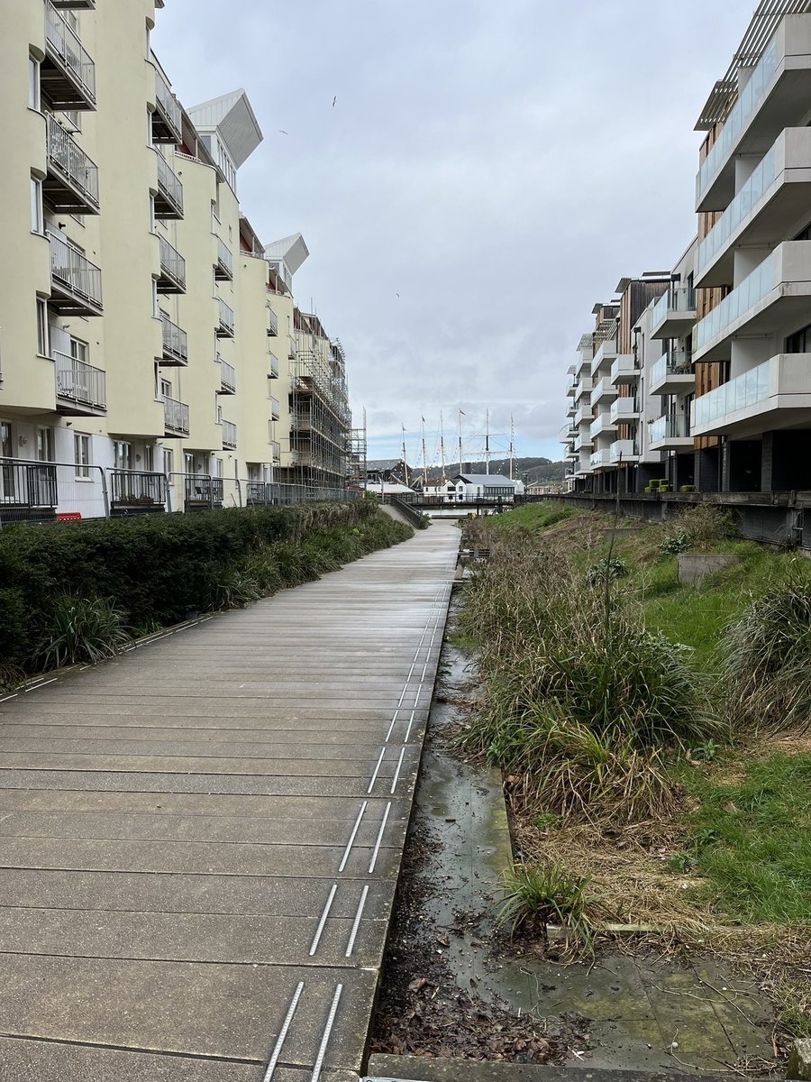 Miss Harris WCSA tweet media