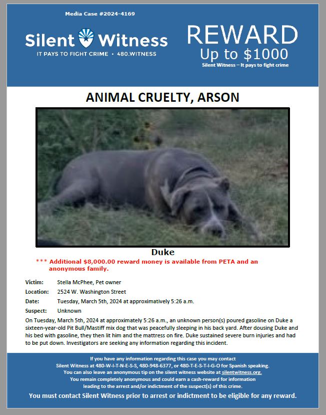 SilentwitnessAZ's tweet photo. *** UP TO $1,000.00 REWARD OFFERED ***
On Tuesday, March 5th, 2024, at approximately 5:26 a.m., an unknown person(s) poured gasoline on Duke a sixteen-year-old Pit Bull/Mastiff mix dog that was peacefully sleeping in his back yard.
After dousing Duke and his bed with gasoline, https://t.co/mChOzVZrDJ