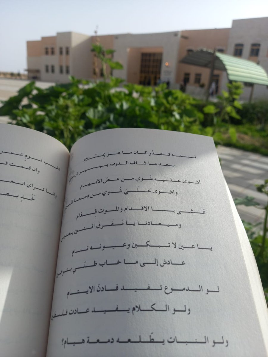 جامعه الحسين بن طلال