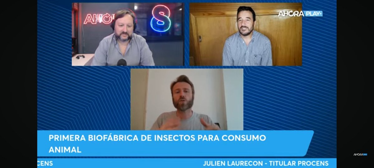 Linda charla sobre bioeconomia y el surgimiento de Procens con Julien Laurencon
<a href="/DantasMartin/">Martin Dantas</a> 
<a href="/Procens1/">Procens</a> 
<a href="/ahora_play/">Ahora Play</a>
