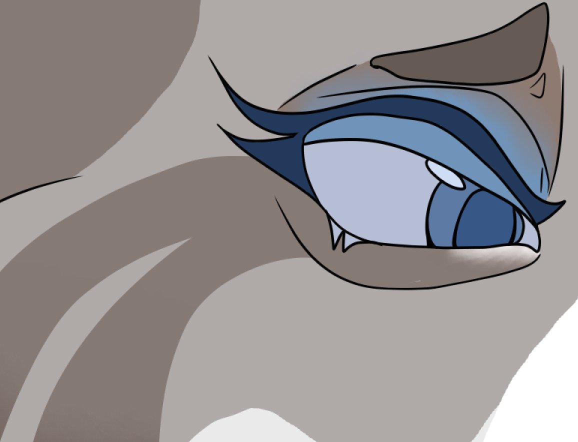AJTheFox113's tweet photo. Little sneak peak off whats to come <3
#lackdaisyOc #Lackdaisy #lackdaisycats https://t.co/OEQ74dr879