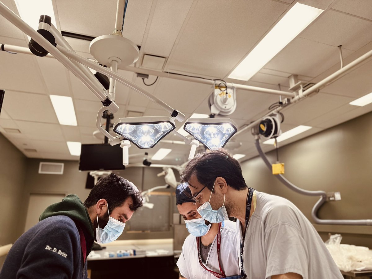 McMaster Urology tweet media