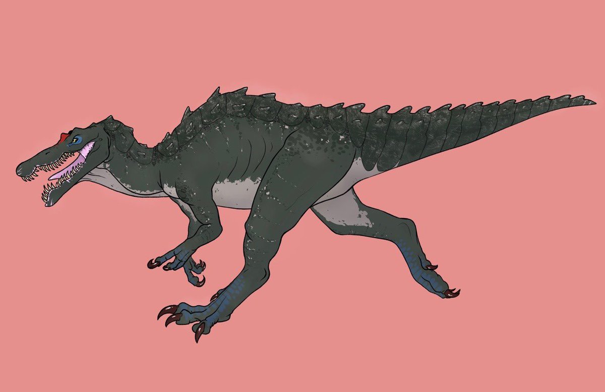 logan (@loganvanderwolf) on Twitter photo 