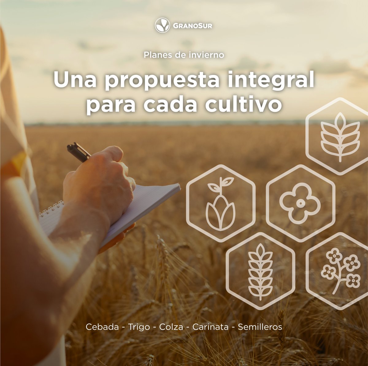 Granosur's tweet photo. Para esta zafra de invierno 24-25 podés contar con nuestro equipo para diseñar planes de cultivo a medida, contemplando tus objetivos y oportunidades. 

Contactanos para acceder a más información. https://t.co/AEYuyqPiIF