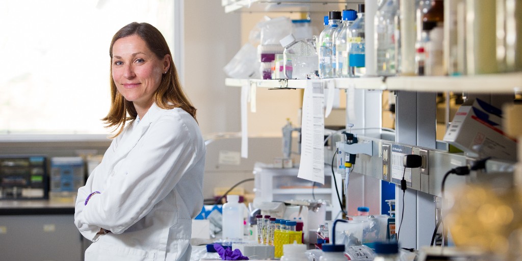 #UCalgary study, led by Dr. Jane Shearer, finds certain heart medications decrease diversity and beneficial micro-organisms found in the gut, which may affect overall health bit.ly/3TuF84K @LibinInstitute
