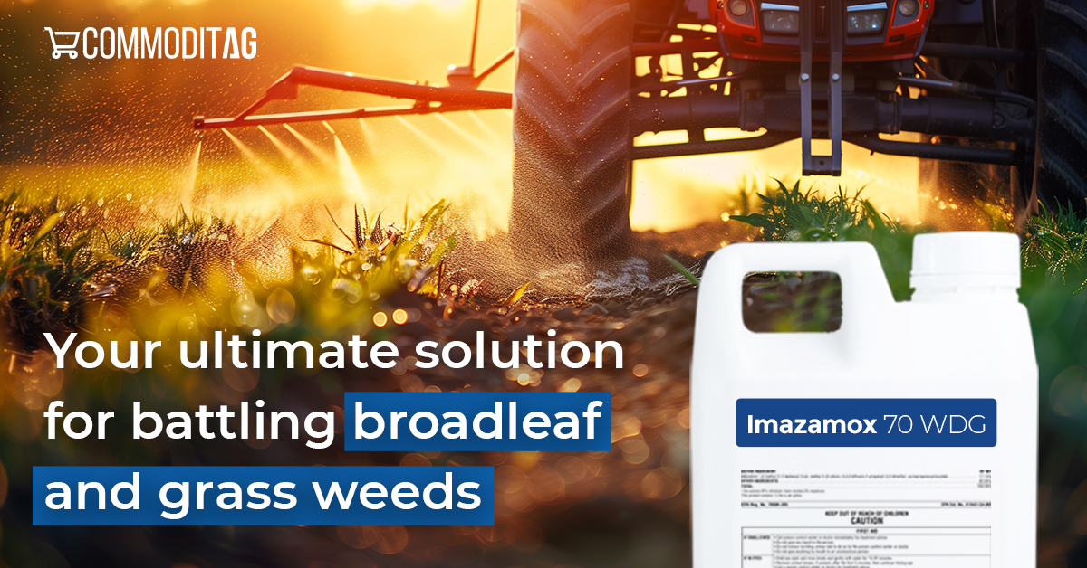 commoditag's tweet photo. Looking for top-tier weed control for this Spring and Summer? Introducing Imazamox 70 WDG—your ultimate solution for battling broadleaf and grass weeds. Say goodbye to unwanted plant intruders and hello to a lush, weed-free field. Get yours now on https://t.co/vbNn45zTMt https://t.co/QDhO1EPlAX